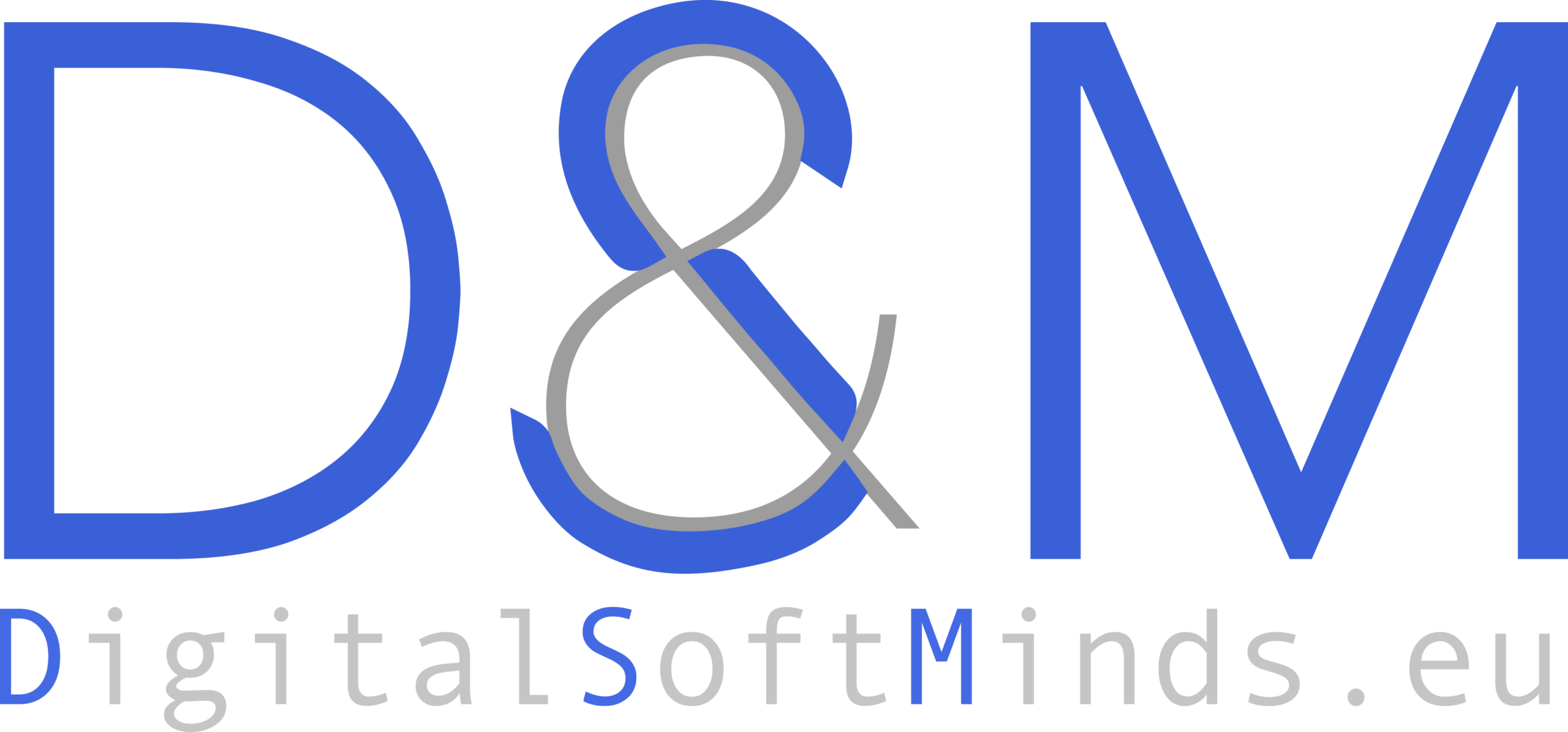 DSM logo placeholder